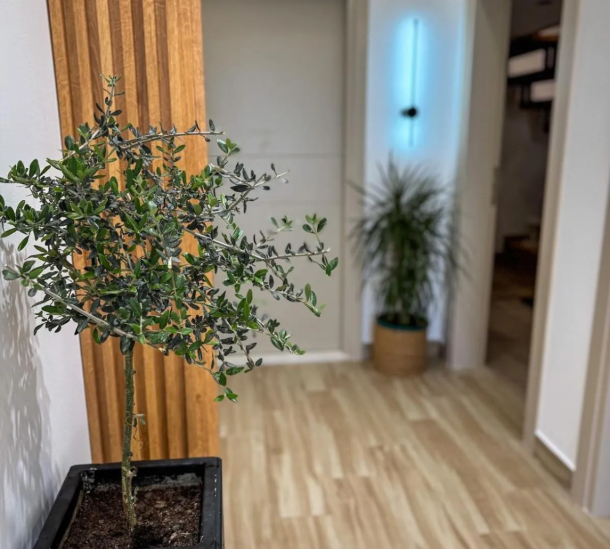 Vila51 Ocean Deluxe Apartment Sarande 0*,  Albania